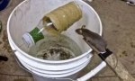Domácí MouseTrap: Jak udělat doma